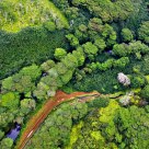 Kaua'i Greenery from the Air